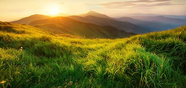 PROBAT SI IMPEGNA PER L’AMBIENTE